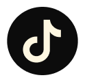 Tiktok Icon 